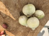 Picture of Lök special Borettana