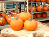 Picture of Pumpa Pik-A-Pie