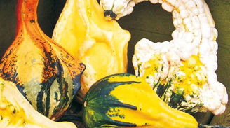 Picture of Prydnadspumpa Autumn Wings medium