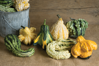 Picture of Prydnadspumpa Gremlins Gourd