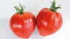 Picture of Tomat Cauralina HF1 GSPP