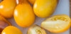 Picture of Tomat Indigo Pear Drops