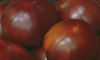 Picture of Tomat Black Russian