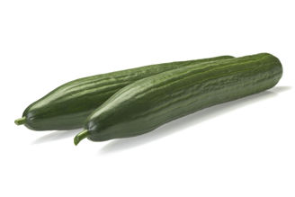 Picture of Slanggurka Proloog RZ F1, ekologiskt odlat frö