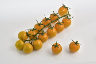 Picture of Tomat Sweedor F1 GSPP