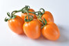 Picture of Tomat Orinade F1 GSPP