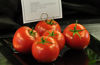 Picture of Tomat Livento RZ F1 GSPP