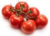 Picture of Tomat Tomicia RZ F1 GSPP