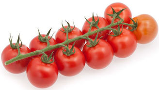 Picture of Tomat Brioso RZ F1 GSPP
