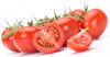 Picture of Tomat Senserno RZ F1 GSPP