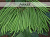 Picture of Buskbrytböna Parker