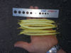 Picture of Buskvaxböna Voltage