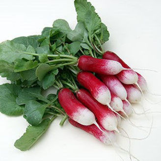 Picture of Rädisa Flamboyant 5 ekologiskt odlat frö