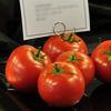 Picture of Tomat Livento RZ F1 GSPP
