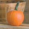 Picture of Halloweenpumpa Chucky F1