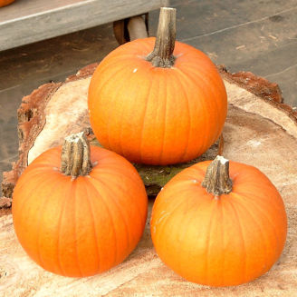 Picture of Pumpa Pik-A-Pie