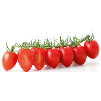 Picture of Tomat Caldino RZ F1 GSPP