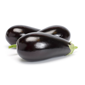 Picture of Aubergine Jaylo RZ F1