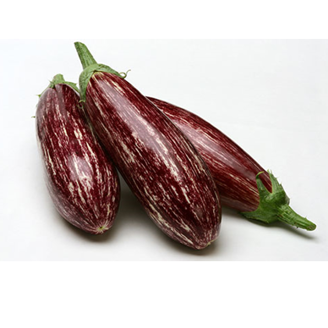Picture of Aubergine Angela RZ F1