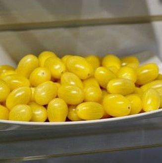 Picture of Tomat Ivorino F1 GSPP