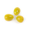 Picture of Tomat Maggino RZ F1 GSPP