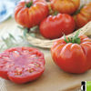 Picture of Tomat Marbonne F1 GSPP