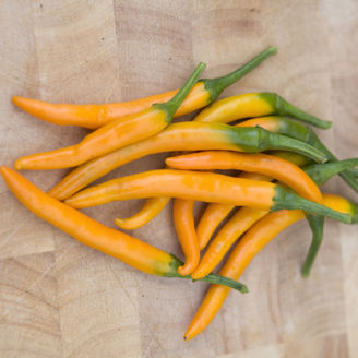 Picture of Chili Hot Killian Orange
