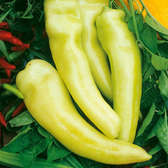 Picture of Chili Sweet Banana