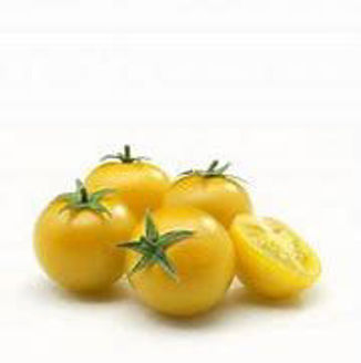 Picture of Tomat Gourmandise yellow