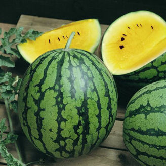 Picture of Melon Pony Yellow F1