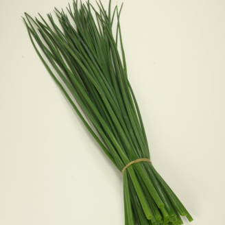 Picture of Gräslök Polyvert