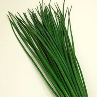 Picture of Kinesisk gräslök Shiva