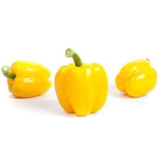 Picture of Paprika Sven RZ F1