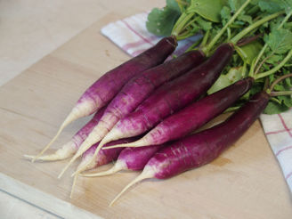 Picture of Rädisa Felicia