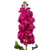 Picture of Matthiola Milla Rose