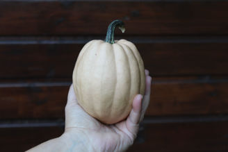 Picture of Pumpa Baked Potato