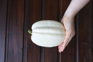 Picture of Pumpa Mashed Potato