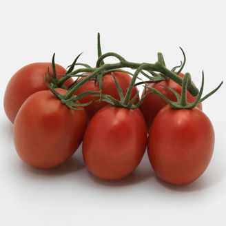 Picture of Tomat Romatico F1 GSPP