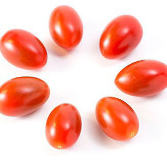 Picture of Tomat Florantino RZ F1 GSPP