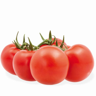 Picture of Tomat Lyterno RZ F1 GSPP