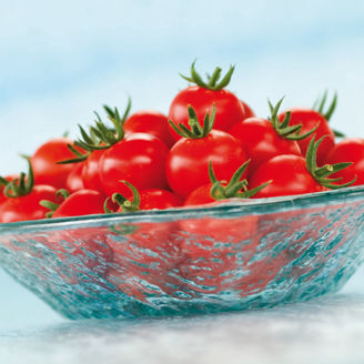 Picture of Tomat Tastyno, Ekologiskt odlat frö GSPP