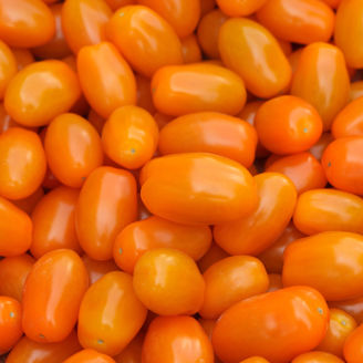 Picture of Tomat Bamano F1 GSPP