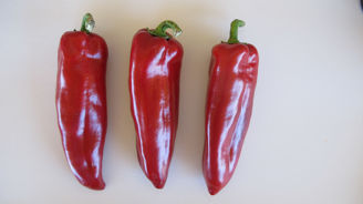 Picture of Paprika Marmara F1