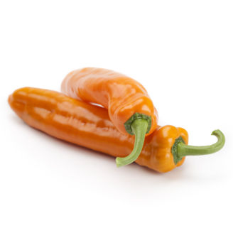 Picture of Paprika Palermo Obedius RZ