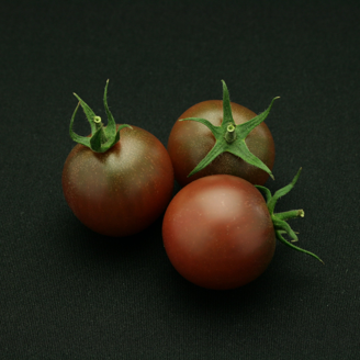 Picture of Tomat Sunbrown GSPP