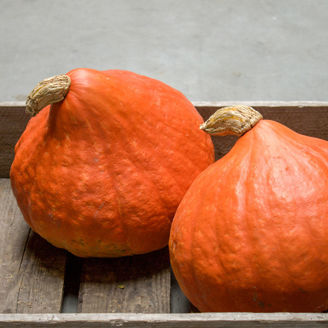 Picture of Pumpa  Red October F1