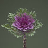 Picture of Prydnadskål Crane Feather Queen F1