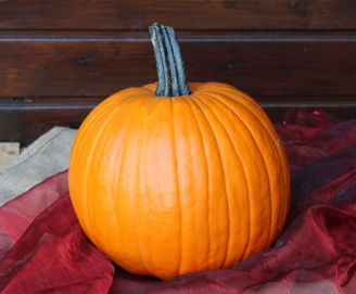 Picture of Pumpa Neon F1