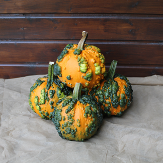 Picture of Halloweenpumpa Miniwarts