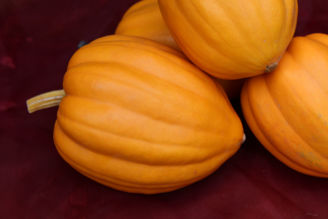 Picture of Pumpa Table Gold